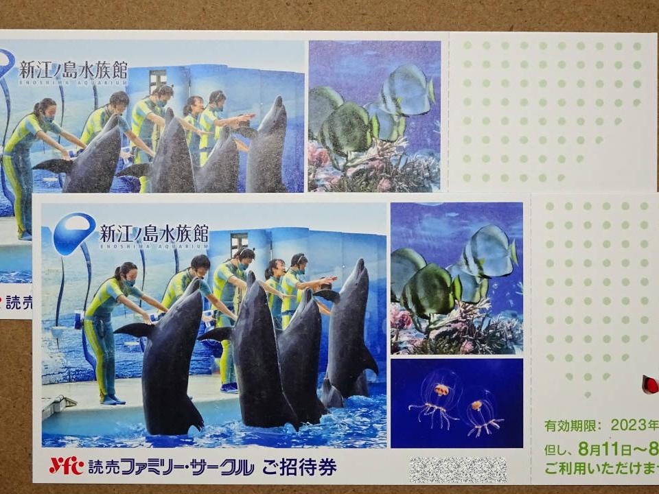 未使用】新江ノ島水族館 招待券 2枚 9月30日 えのすい －入場券 入園券 チケット 送料無料 －の落札情報詳細 ヤフオク落札価格検索  オークフリー