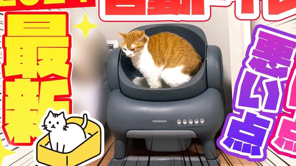 【忖度なし話題の全自動猫トイレ】Makuakeで秒で目標達成!neakasa M1ってどうなの？