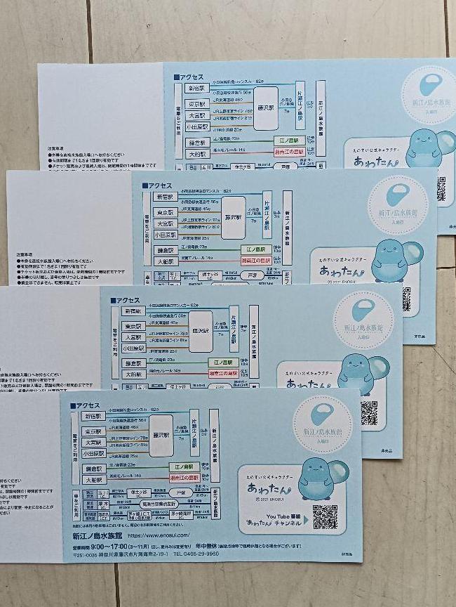 新江ノ島水族館　４枚セット
