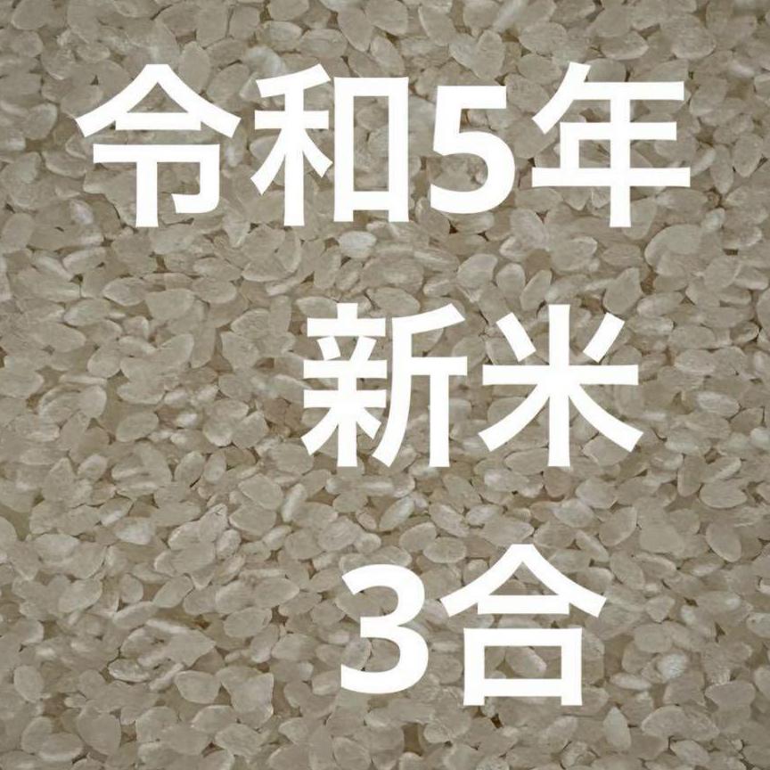 令和5年　新米　コシヒカリ　3合