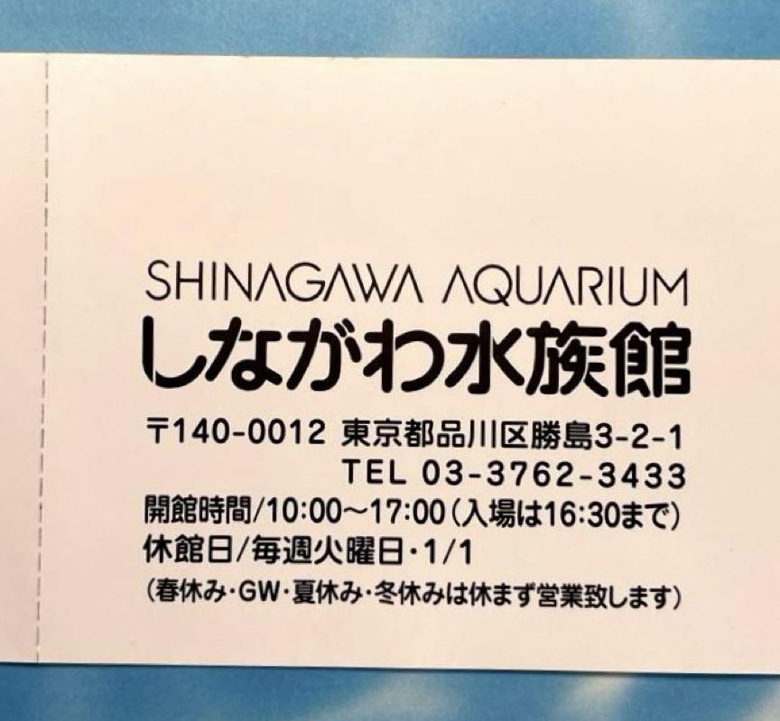 しながわ水族館　チケット1枚