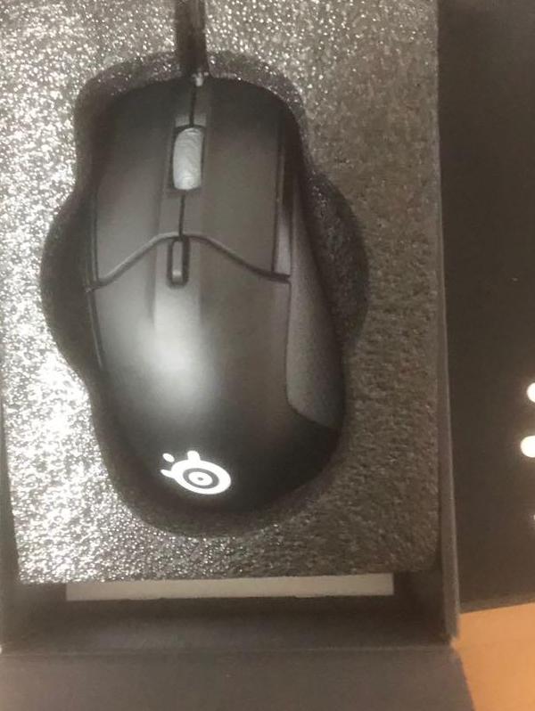 Rival310