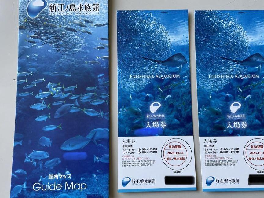 早割クーポン新江ノ島水族館　大人2枚　パンフレット付き