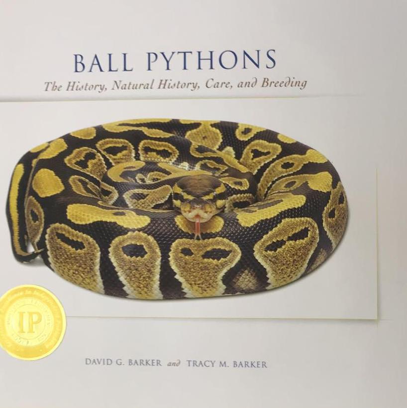 ネットワーク全体の最低価格に挑戦Ball　Pythons　ボールパイソン