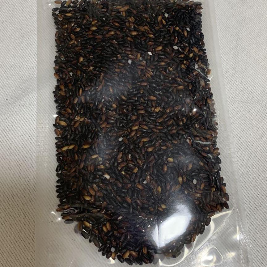 引出物黒米約100g