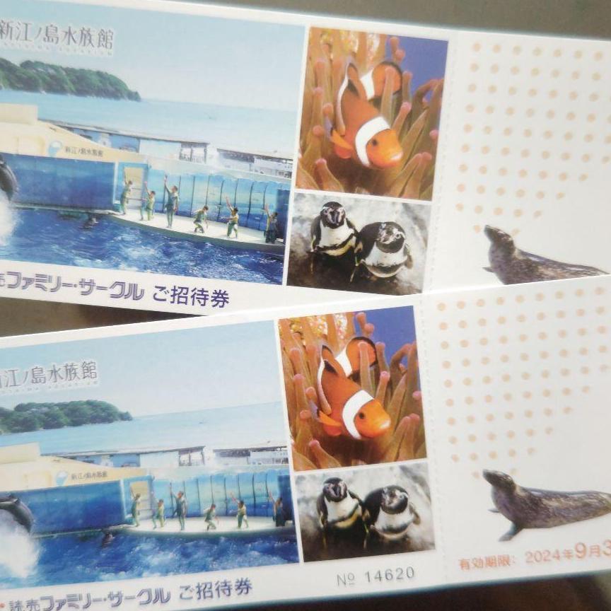 2021年秋冬新作新江ノ島水族館　ご招待券2枚