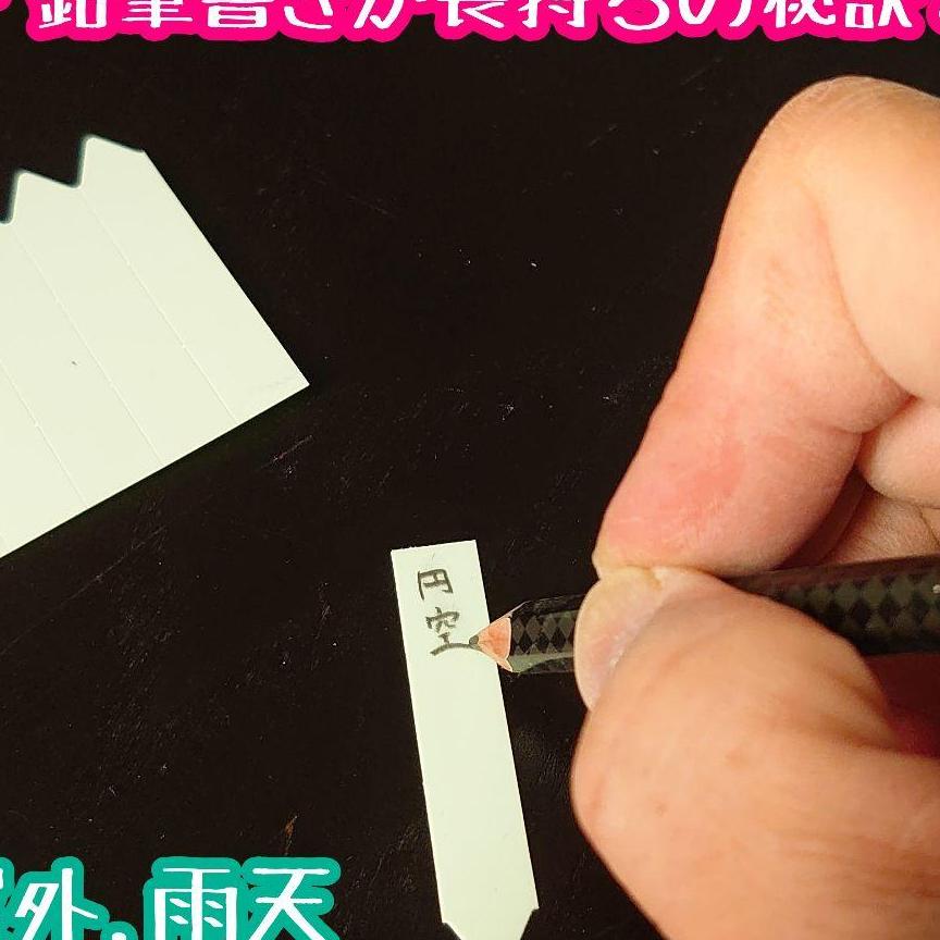 ◎100枚　小　パープル　ラインラベル　紫　園芸ラベル　カラーラベル　多肉植物