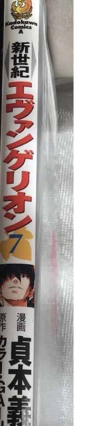 新世紀エヴァンゲリオン　7と8　匿名配送　2冊セット