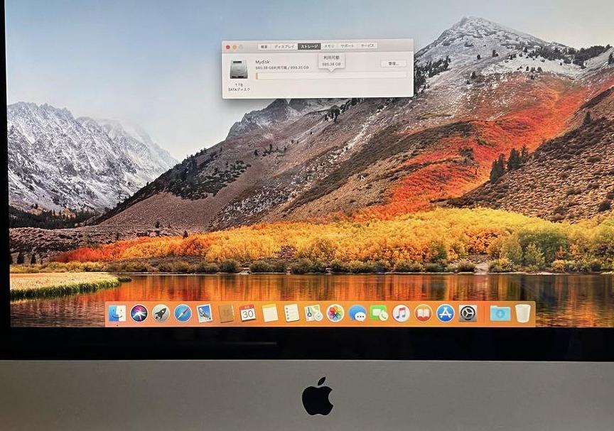 送料無料お手入れ要らずiMac　21.5-inch　Mid　2010