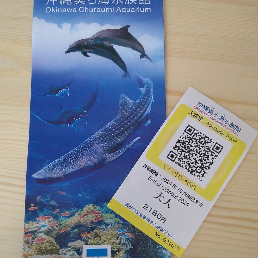 美ら海水族館　入場券