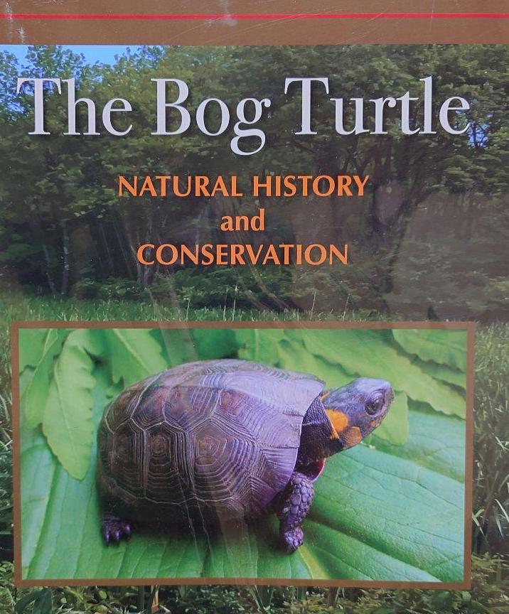 【期間限定お試し価格】The　Bog　Turtle　カメ　爬虫類　洋書