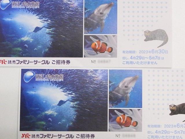 ☆2023年6月30日まで☆送料無料 ☆新江ノ島水族館 ご招待券 2枚セット①(水族館)｜売買されたオークション情報、!オークション(旧ヤフオク!)  の商品情報をアーカイブ公開